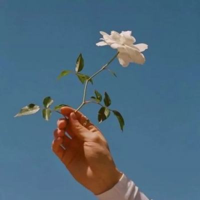 开天西游官方版下载